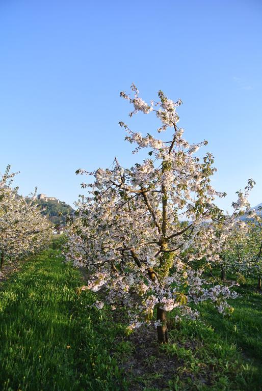 Agriturismo Bortolotti 페르지네 발수가나 외부 사진
