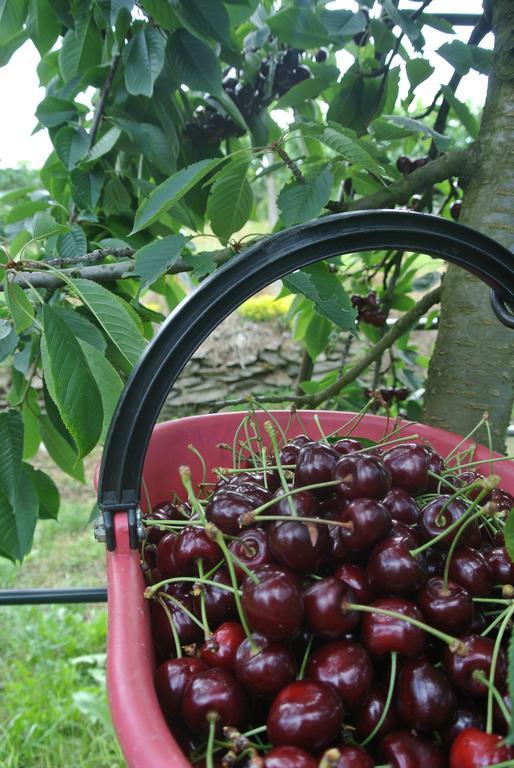 Agriturismo Bortolotti 페르지네 발수가나 외부 사진